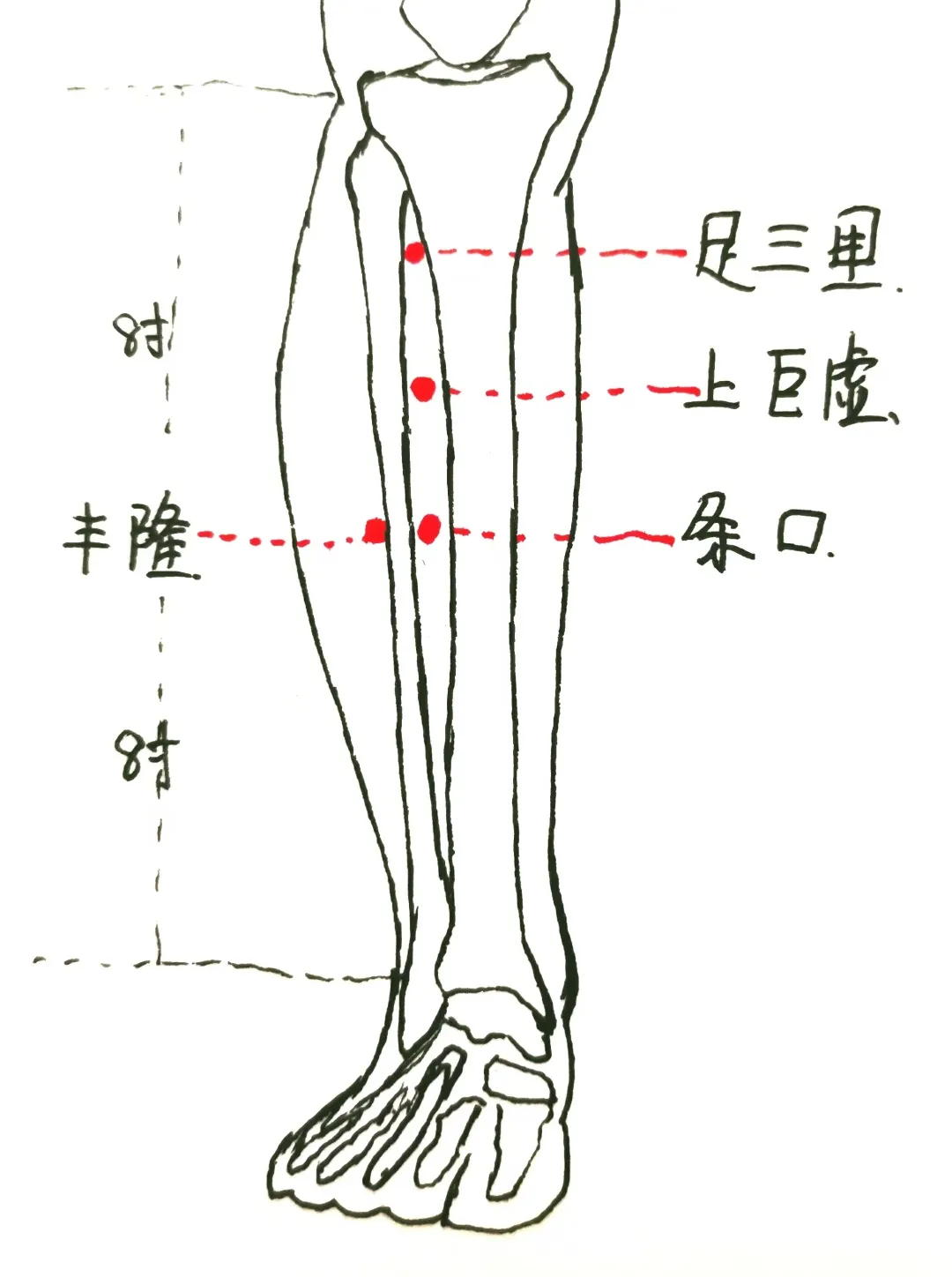 fabf398bbe00dfea0a51675797416c73.png